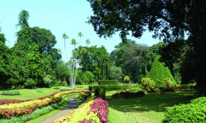 Séjour Sri Lanka